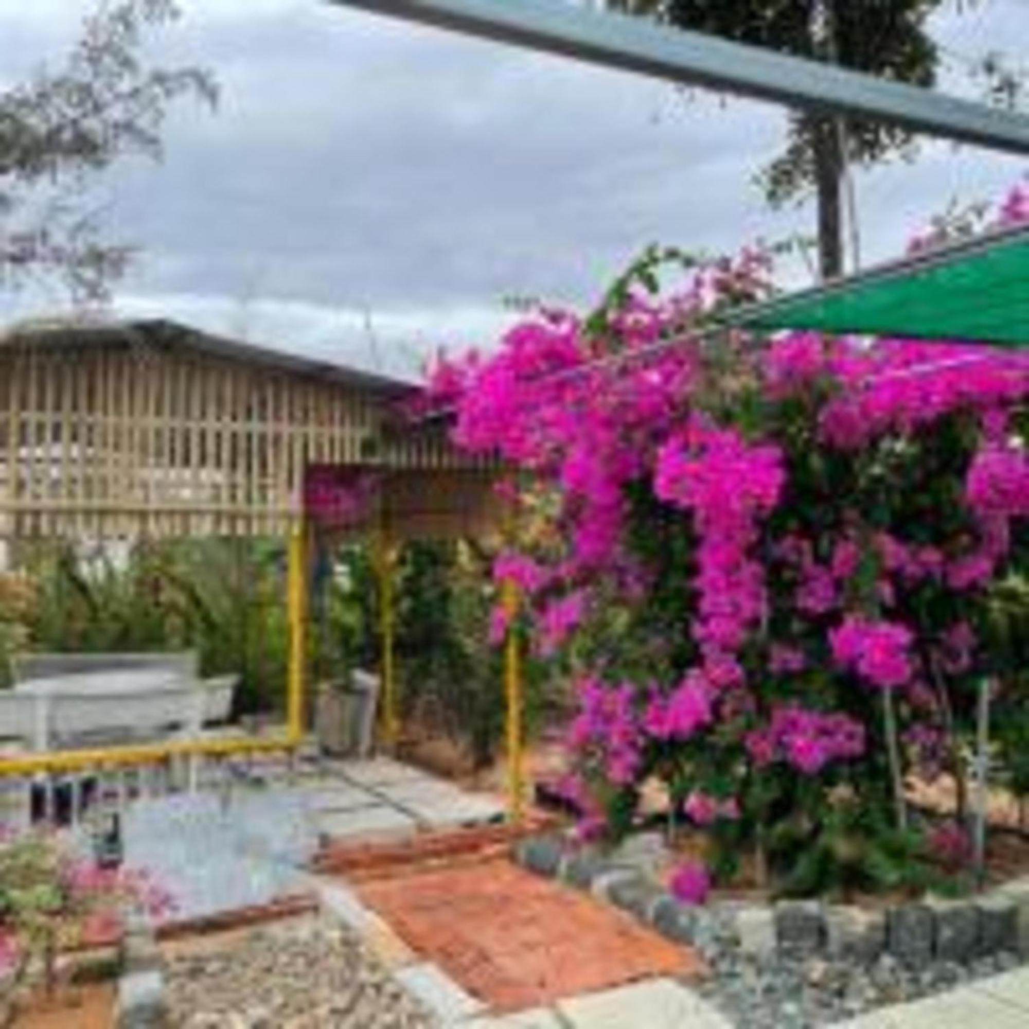 Duc Luu Quang Hotel Binh Thuan Tuy Phong Esterno foto