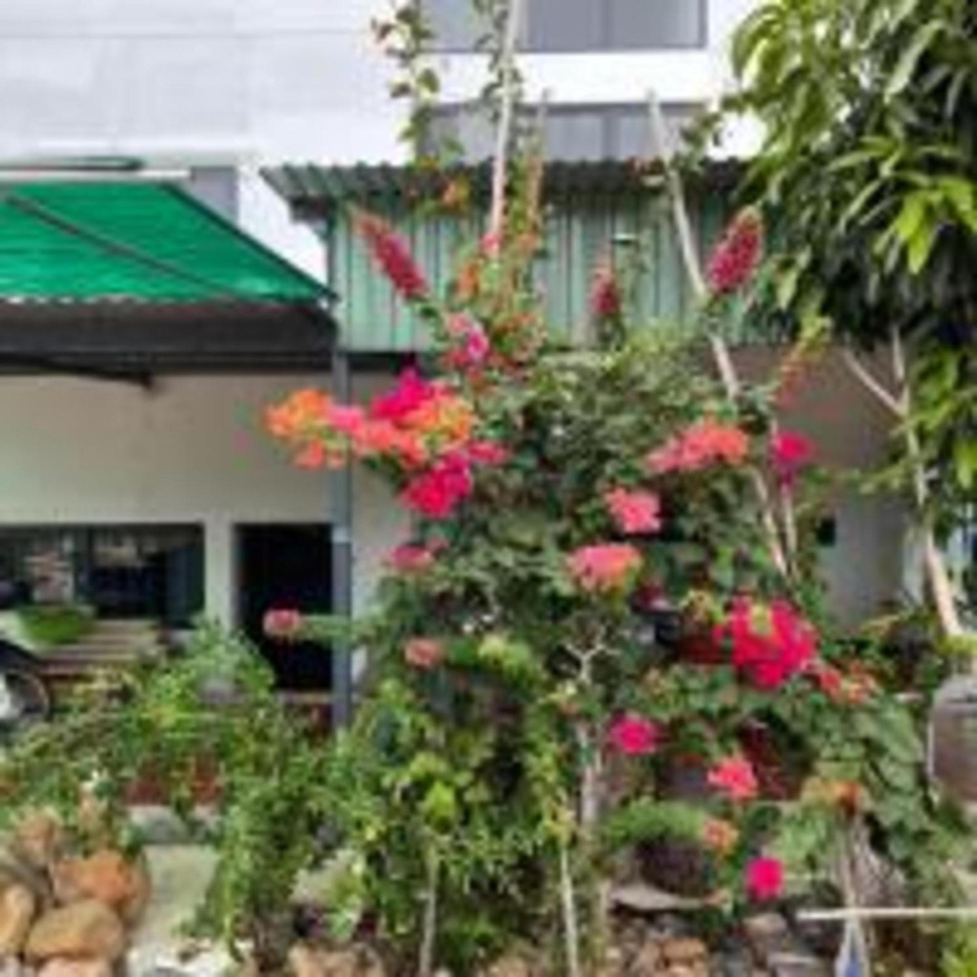 Duc Luu Quang Hotel Binh Thuan Tuy Phong Esterno foto