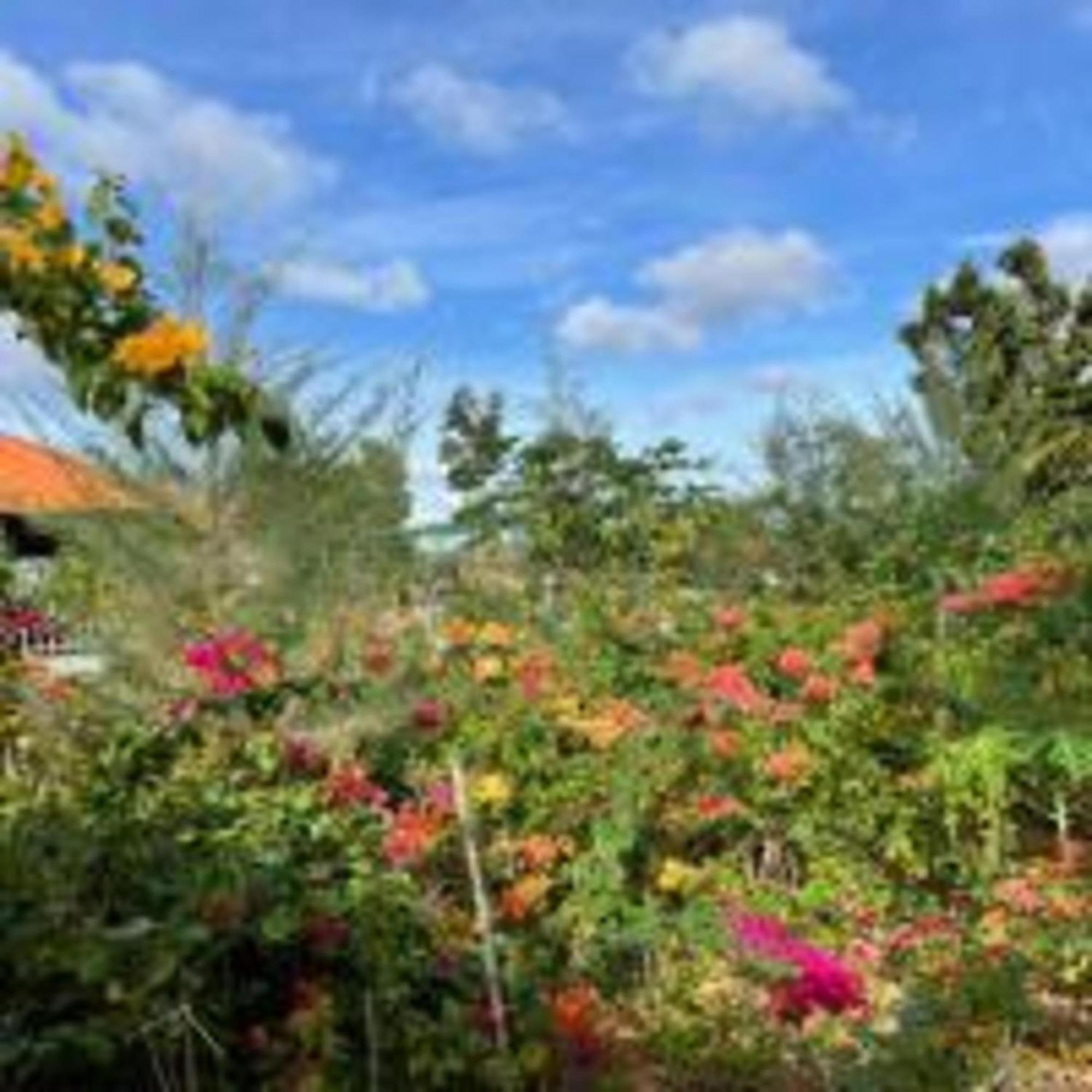 Duc Luu Quang Hotel Binh Thuan Tuy Phong Esterno foto