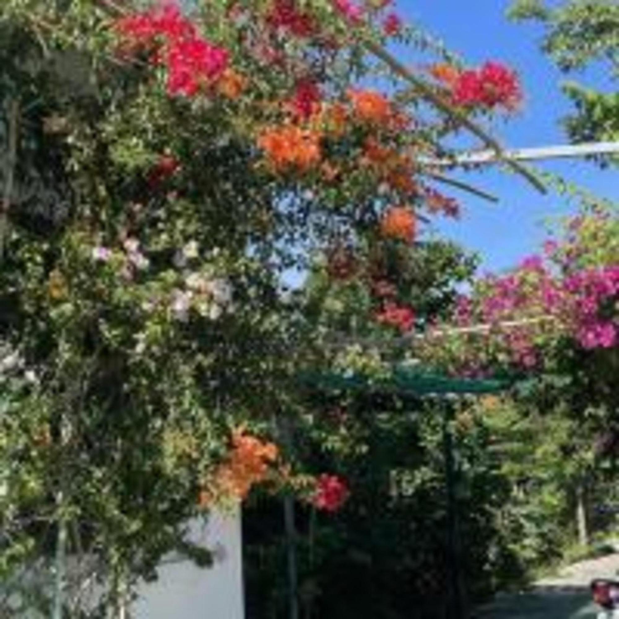 Duc Luu Quang Hotel Binh Thuan Tuy Phong Esterno foto
